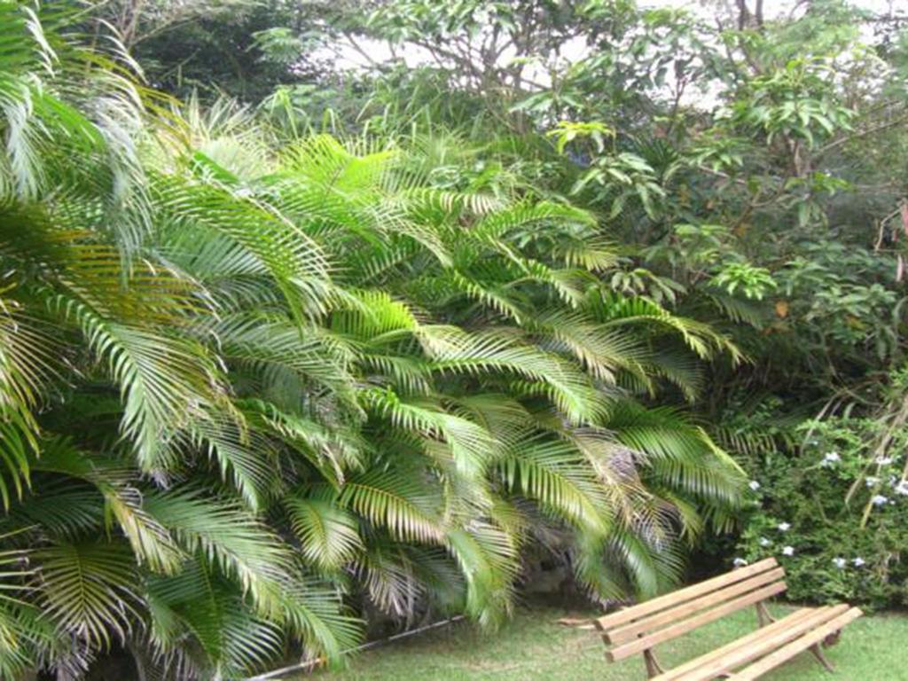 Htl Telhado Verde Búzios المظهر الخارجي الصورة